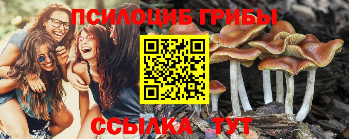Галлюциногенные грибы MAGIC MUSHROOMS Мелеуз