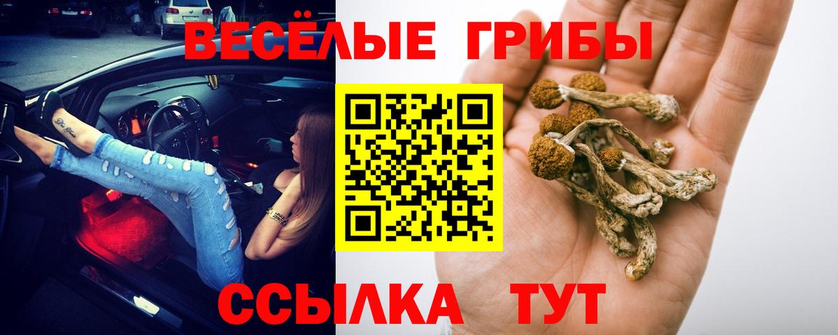 Галлюциногенные грибы MAGIC MUSHROOMS  Вход с VPN  Галлюциногенные грибы Psilocybe  Мелеуз 